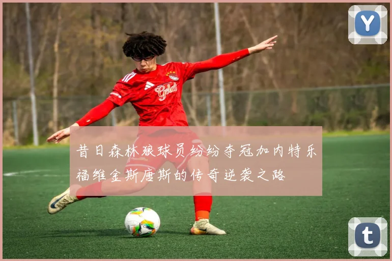昔日森林狼球员纷纷夺冠加内特乐福维金斯唐斯的传奇逆袭之路